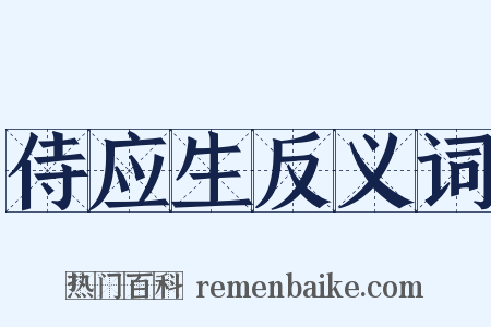 侍应生反义词是什么意思的图片